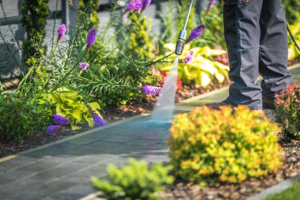 Best Driveway Pressure Washing  in Los Fresnos, TX