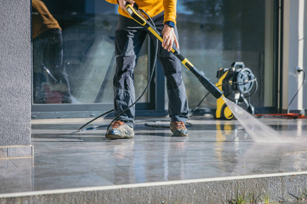 Best Gutter Cleaning  in Los Fresnos, TX